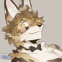 486320674_4046793872306477_4993762250729040814_n